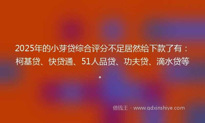 2025年的小芽贷综合评分不足居然给下款了有：柯基贷、快贷通、51人品贷、功夫贷、滴水贷等。