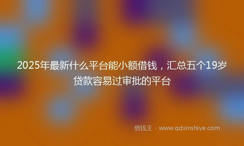 2025年最新什么平台能小额借钱，汇总五个19岁贷款容易过审批的平台