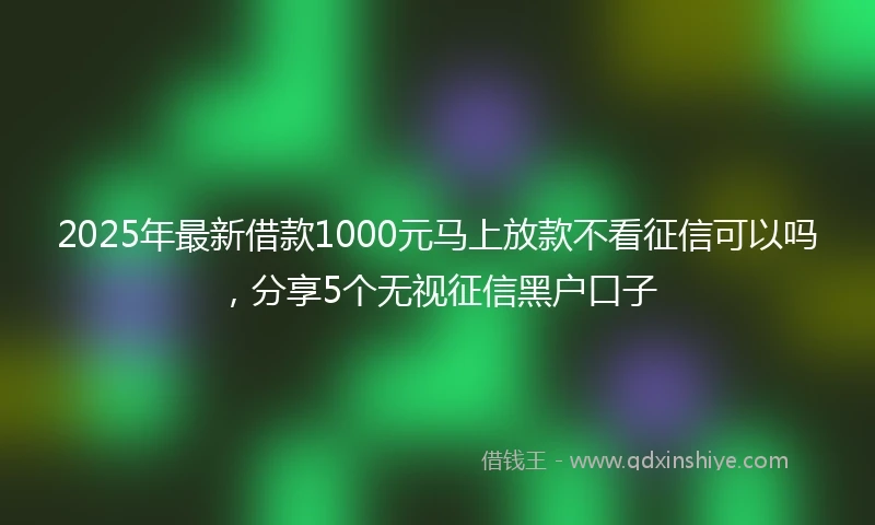 2025年最新借款1000元马上放款不看征信可以吗，分享5个无视征信黑户口子