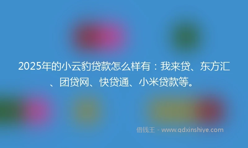 2025年的小云豹贷款怎么样有：我来贷、东方汇、团贷网、快贷通、小米贷款等。