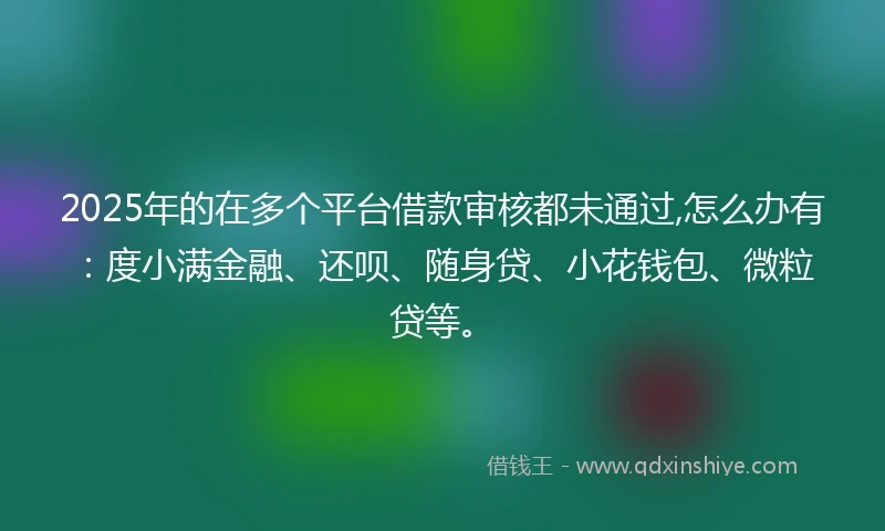 2025年的在多个平台借款审核都未通过,怎么办有：度小满金融、还呗、随身贷、小花钱包、微粒贷等。