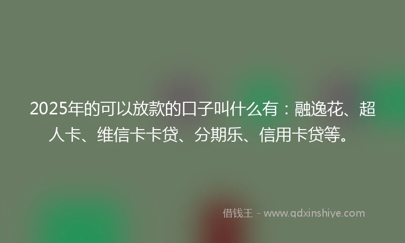 2025年的可以放款的口子叫什么有：融逸花、超人卡、维信卡卡贷、分期乐、信用卡贷等。