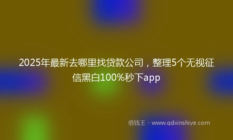 2025年最新去哪里找贷款公司，整理5个无视征信黑白100%秒下app
