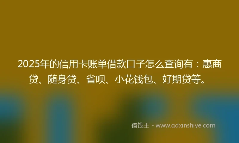 2025年的信用卡账单借款口子怎么查询有：惠商贷、随身贷、省呗、小花钱包、好期贷等。