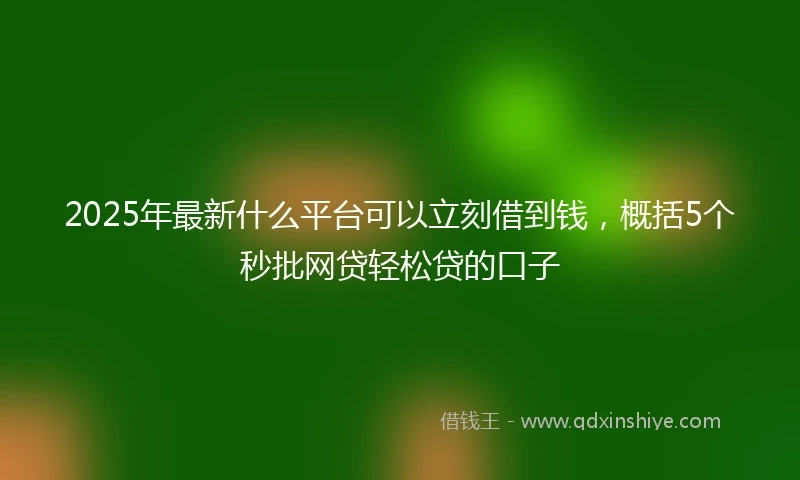2025年最新什么平台可以立刻借到钱，概括5个秒批网贷轻松贷的口子