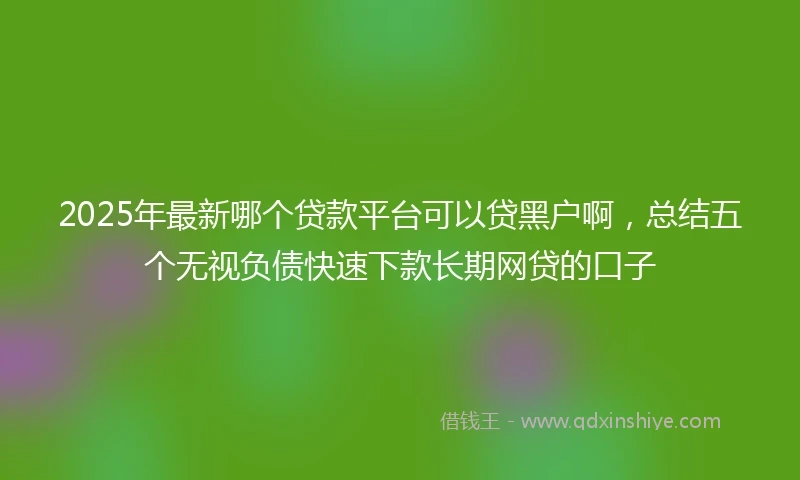 2025年最新哪个贷款平台可以贷黑户啊，总结五个无视负债快速下款长期网贷的口子