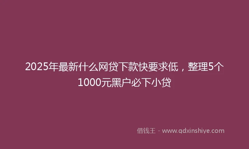 2025年最新什么网贷下款快要求低，整理5个1000元黑户必下小贷
