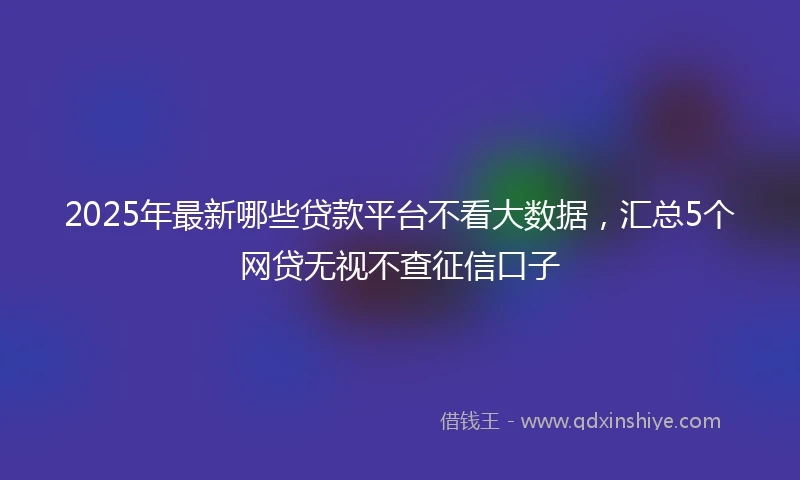 2025年最新哪些贷款平台不看大数据，汇总5个网贷无视不查征信口子