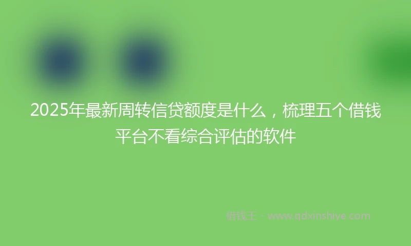 2025年最新周转信贷额度是什么，梳理五个借钱平台不看综合评估的软件