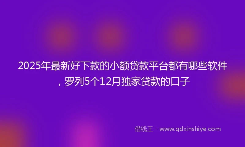 2025年最新好下款的小额贷款平台都有哪些软件，罗列5个12月独家贷款的口子