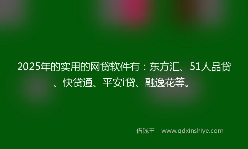 2025年的实用的网贷软件有：东方汇、51人品贷、快贷通、平安i贷、融逸花等。