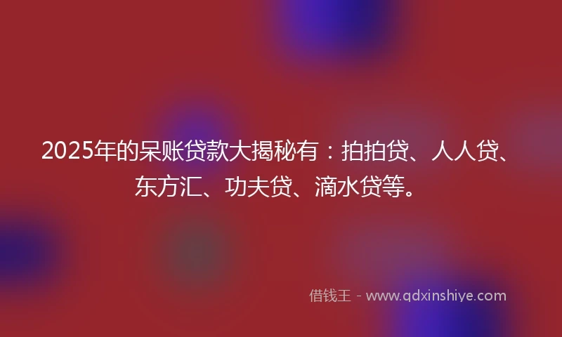 2025年的呆账贷款大揭秘有：拍拍贷、人人贷、东方汇、功夫贷、滴水贷等。
