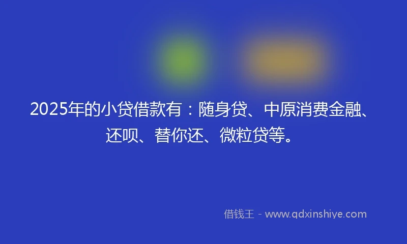 2025年的小贷借款有：随身贷、中原消费金融、还呗、替你还、微粒贷等。