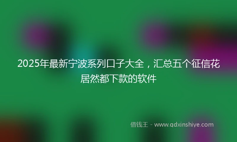 2025年最新宁波系列口子大全，汇总五个征信花居然都下款的软件