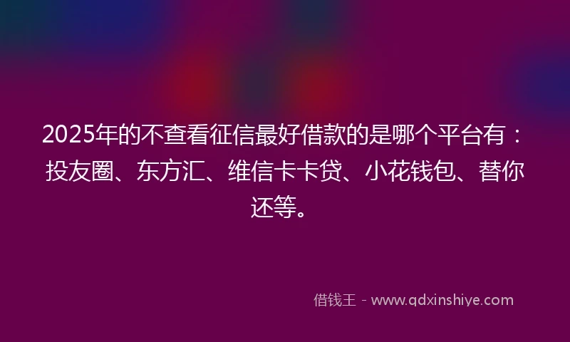 2025年的不查看征信最好借款的是哪个平台有：投友圈、东方汇、维信卡卡贷、小花钱包、替你还等。