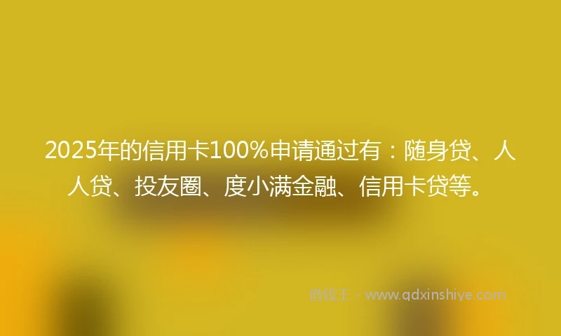2025年的信用卡100%申请通过有：随身贷、人人贷、投友圈、度小满金融、信用卡贷等。