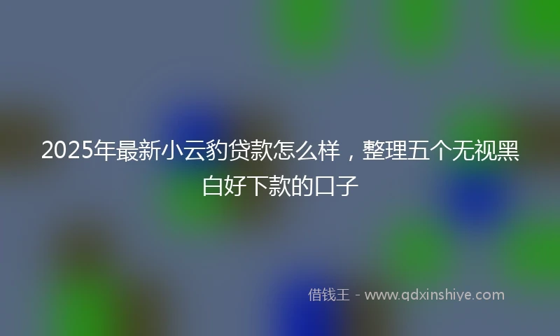 2025年最新小云豹贷款怎么样，整理五个无视黑白好下款的口子