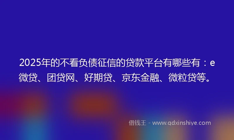 2025年的不看负债征信的贷款平台有哪些有：e微贷、团贷网、好期贷、京东金融、微粒贷等。