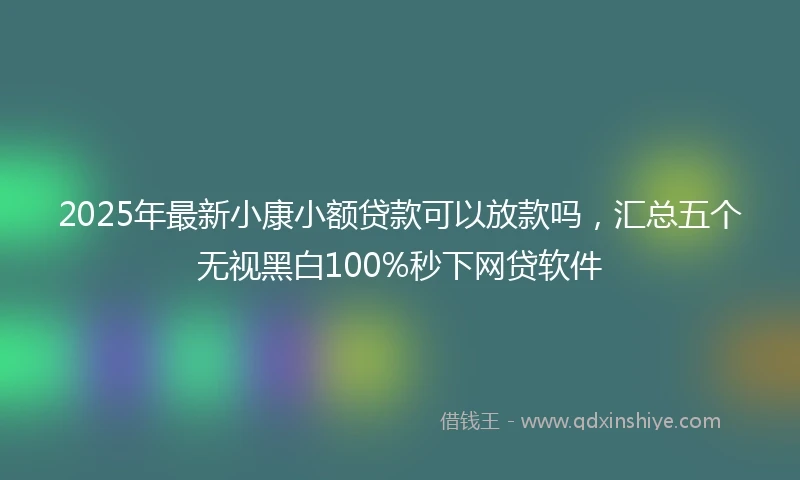 2025年最新小康小额贷款可以放款吗，汇总五个无视黑白100%秒下网贷软件