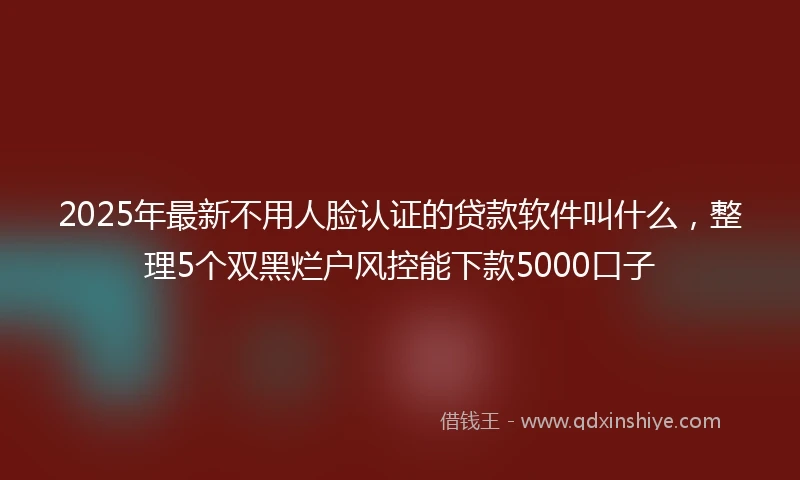 2025年最新不用人脸认证的贷款软件叫什么，整理5个双黑烂户风控能下款5000口子
