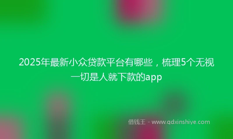 2025年最新小众贷款平台有哪些，梳理5个无视一切是人就下款的app