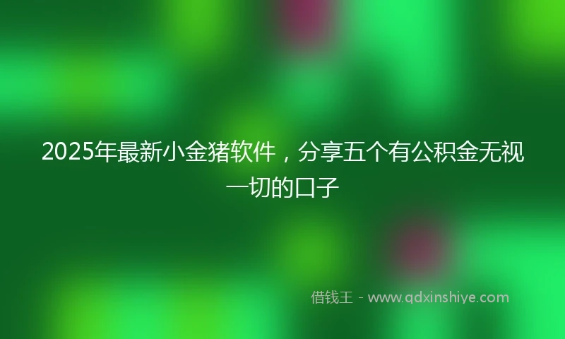 2025年最新小金猪软件，分享五个有公积金无视一切的口子