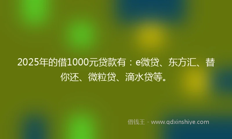 2025年的借1000元贷款有：e微贷、东方汇、替你还、微粒贷、滴水贷等。