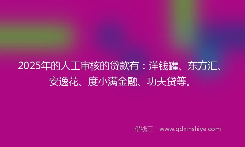 2025年的人工审核的贷款有：洋钱罐、东方汇、安逸花、度小满金融、功夫贷等。