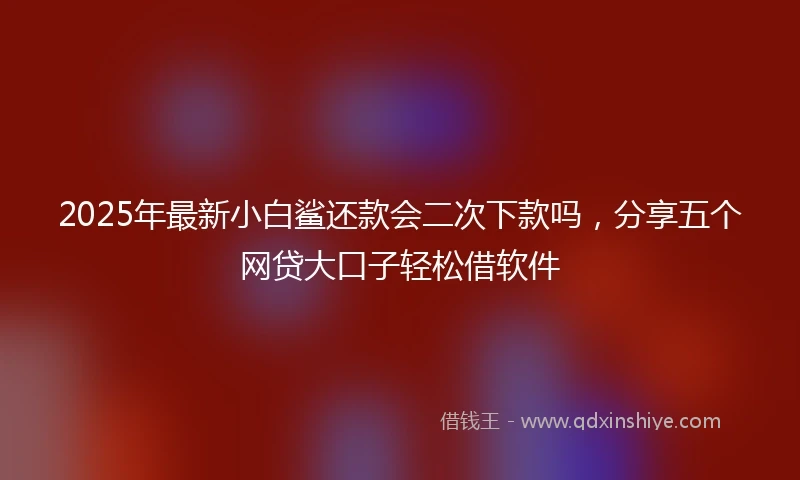 2025年最新小白鲨还款会二次下款吗，分享五个网贷大口子轻松借软件