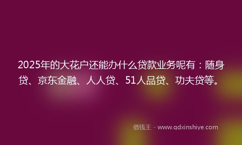 2025年的大花户还能办什么贷款业务呢有：随身贷、京东金融、人人贷、51人品贷、功夫贷等。