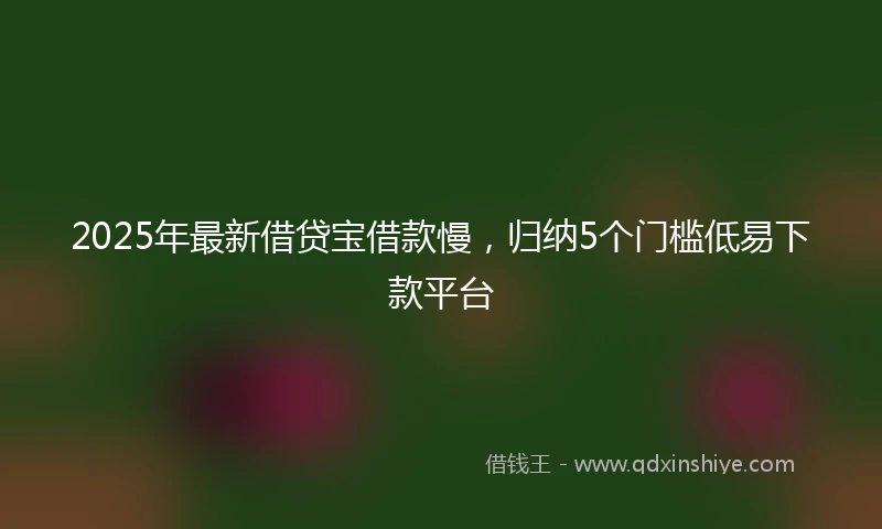 2025年最新借贷宝借款慢，归纳5个门槛低易下款平台