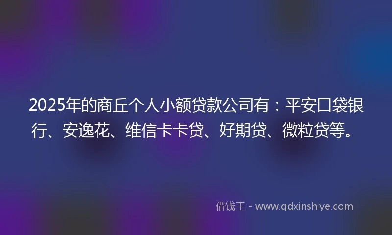 2025年的商丘个人小额贷款公司有：平安口袋银行、安逸花、维信卡卡贷、好期贷、微粒贷等。