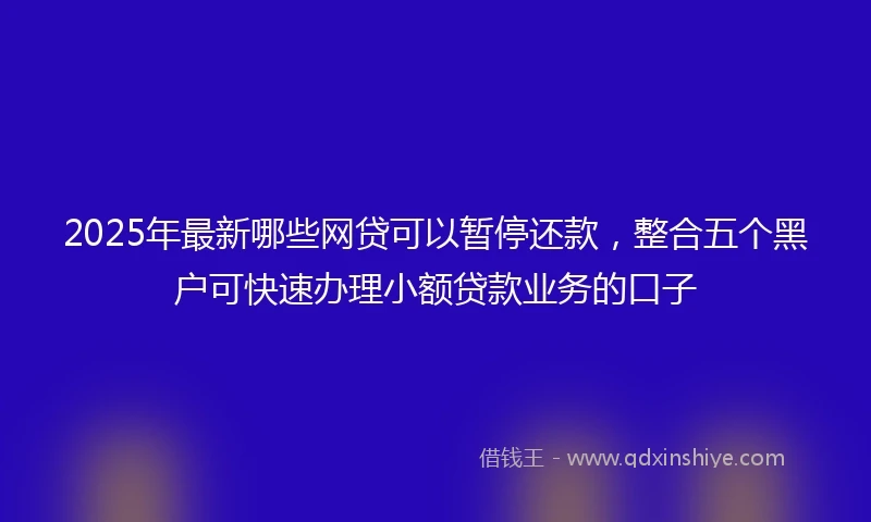 2025年最新哪些网贷可以暂停还款，整合五个黑户可快速办理小额贷款业务的口子