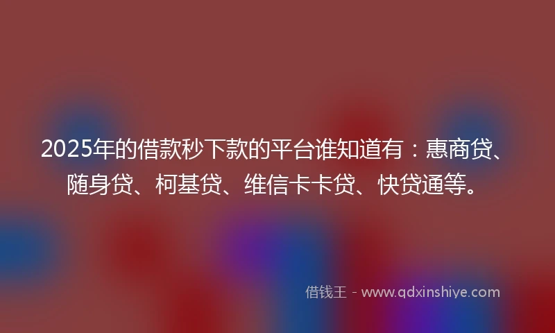 2025年的借款秒下款的平台谁知道有：惠商贷、随身贷、柯基贷、维信卡卡贷、快贷通等。