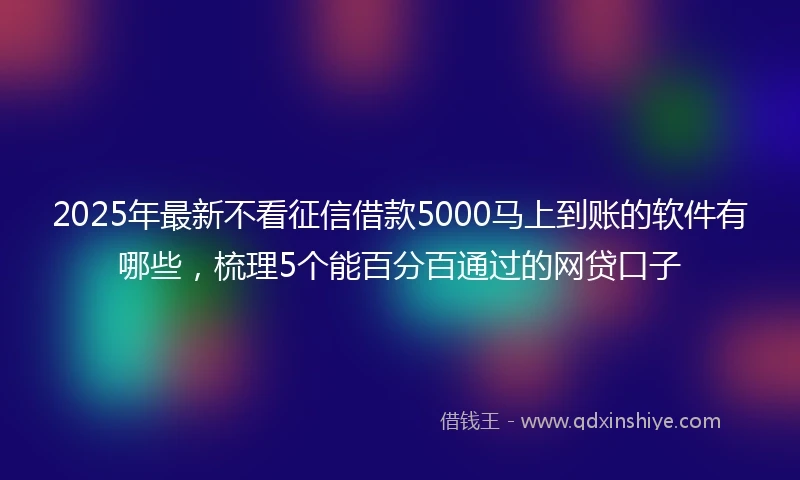 2025年最新不看征信借款5000马上到账的软件有哪些，梳理5个能百分百通过的网贷口子