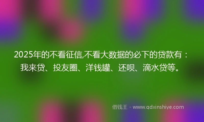 2025年的不看征信,不看大数据的必下的贷款有：我来贷、投友圈、洋钱罐、还呗、滴水贷等。