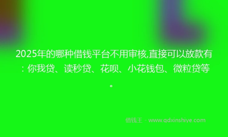 2025年的哪种借钱平台不用审核,直接可以放款有：你我贷、读秒贷、花呗、小花钱包、微粒贷等。