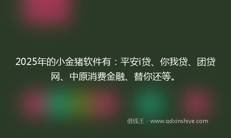 2025年的小金猪软件有：平安i贷、你我贷、团贷网、中原消费金融、替你还等。
