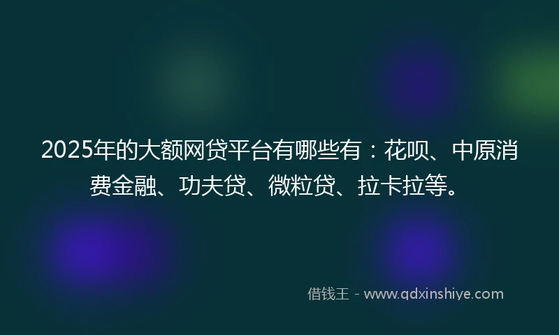 2025年的大额网贷平台有哪些有：花呗、中原消费金融、功夫贷、微粒贷、拉卡拉等。