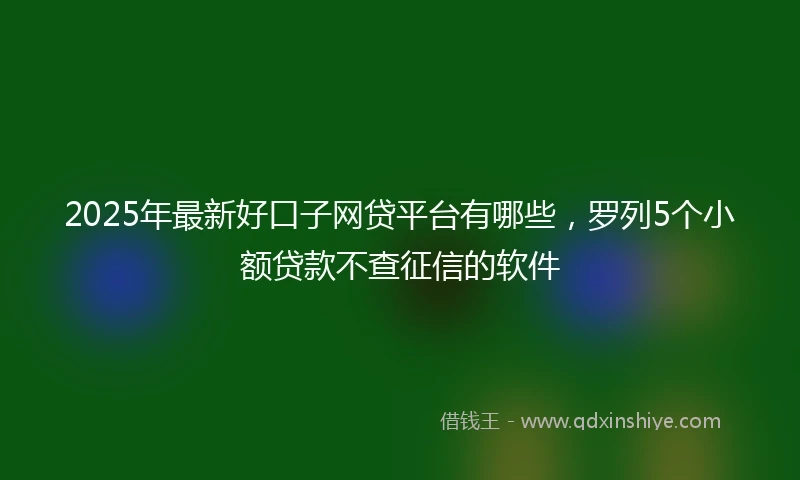 2025年最新好口子网贷平台有哪些，罗列5个小额贷款不查征信的软件