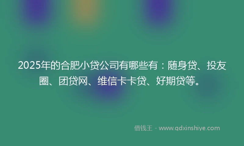2025年的合肥小贷公司有哪些有：随身贷、投友圈、团贷网、维信卡卡贷、好期贷等。