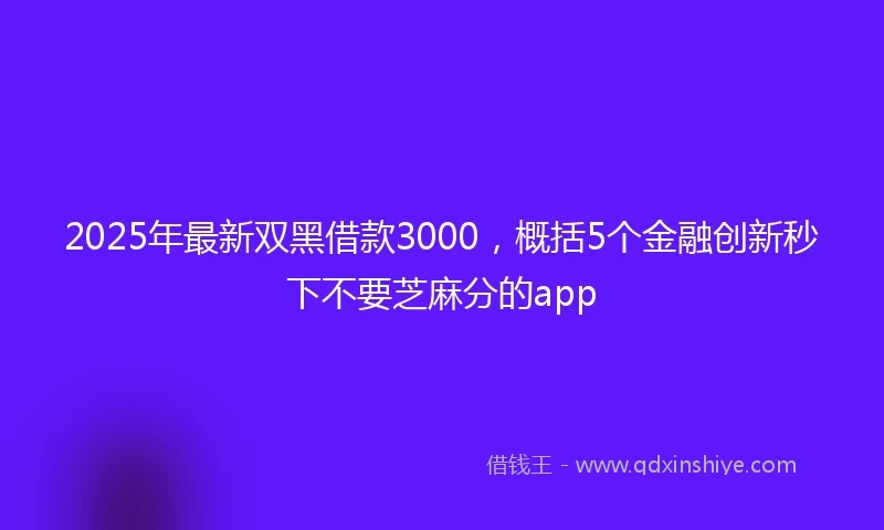 2025年最新双黑借款3000，概括5个金融创新秒下不要芝麻分的app
