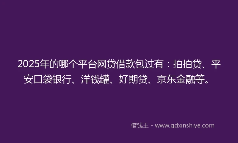 2025年的哪个平台网贷借款包过有：拍拍贷、平安口袋银行、洋钱罐、好期贷、京东金融等。