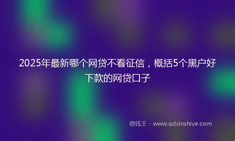 2025年最新哪个网贷不看征信，概括5个黑户好下款的网贷口子