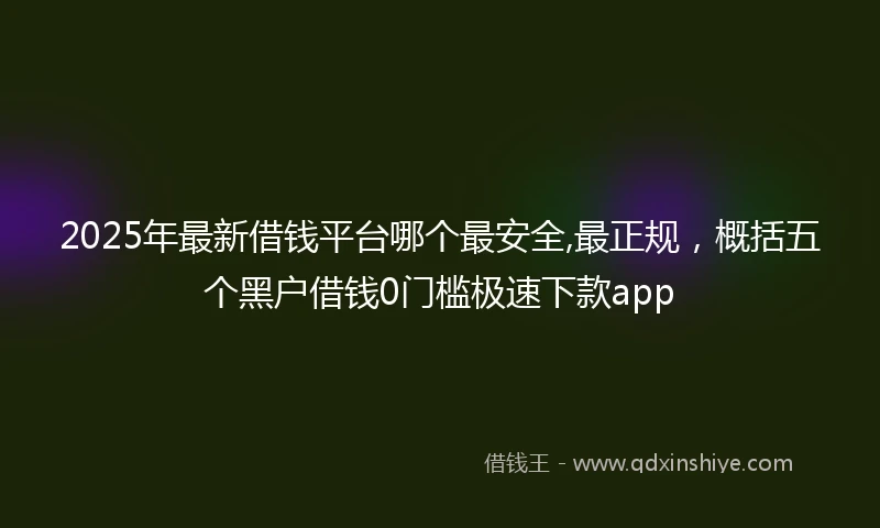 2025年最新借钱平台哪个最安全,最正规，概括五个黑户借钱0门槛极速下款app