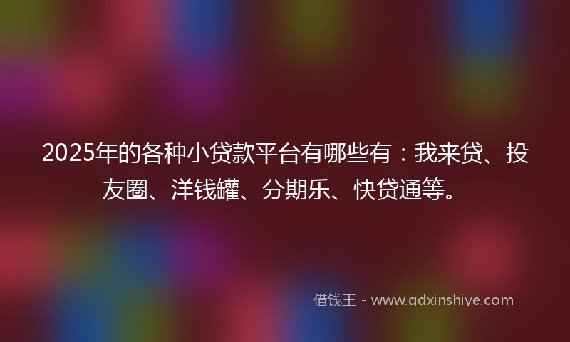 2025年的各种小贷款平台有哪些有：我来贷、投友圈、洋钱罐、分期乐、快贷通等。