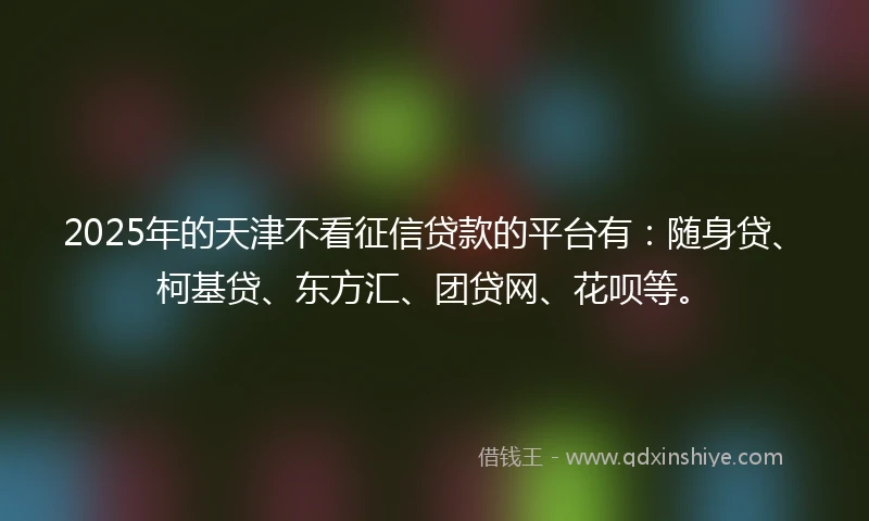 2025年的天津不看征信贷款的平台有：随身贷、柯基贷、东方汇、团贷网、花呗等。