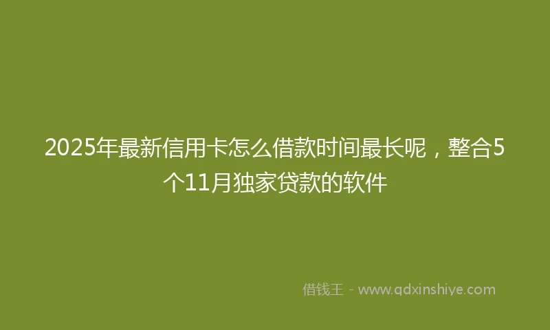2025年最新信用卡怎么借款时间最长呢，整合5个11月独家贷款的软件