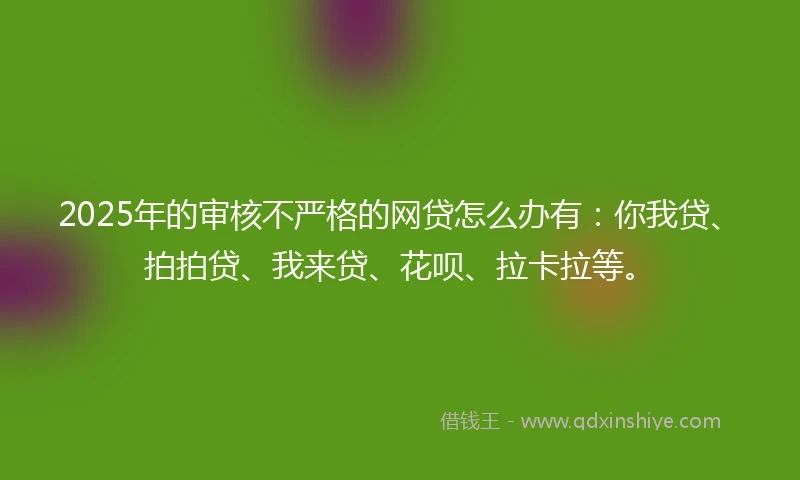 2025年的审核不严格的网贷怎么办有：你我贷、拍拍贷、我来贷、花呗、拉卡拉等。