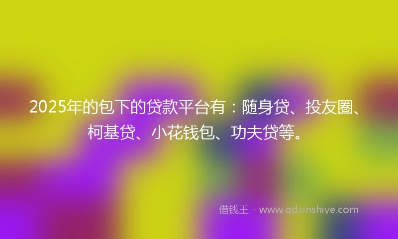 2025年的包下的贷款平台有：随身贷、投友圈、柯基贷、小花钱包、功夫贷等。